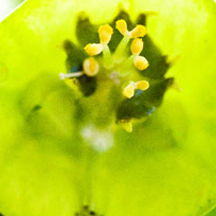 黑客软件攻击器手机版